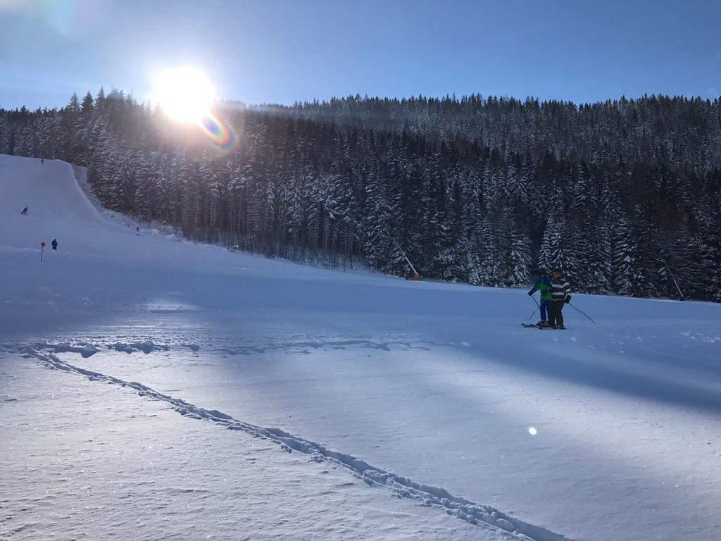 Appartements Almnest Schladming Luaran gambar